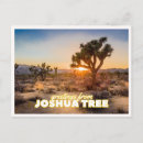 Search for tree postcards Sunrise