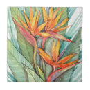 Search for tropical tiles Floral