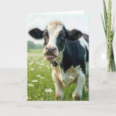 Search for funny farm birthday cards Pasture