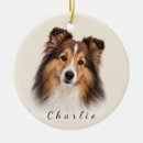 Search for sheltie ornaments Shetland sheepdog