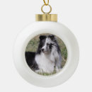 Search for sheltie ornaments Dog