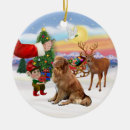Search for nova scotia duck tolling retriever gifts Pets
