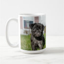 Search for black pug mugs Canine