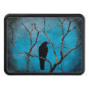 Search for gothic car accessories Raven