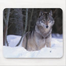 Search for wolf mousepads Forest