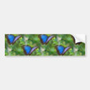 Search for butterfly bumper stickers Nature