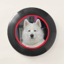 Search for dog frisbees Puppy