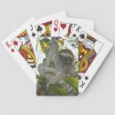 Search for sloth playing cards Cute