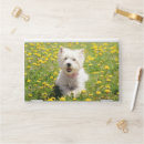 Search for dog laptop skins Puppy