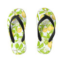 Search for lemon sandals Illustration