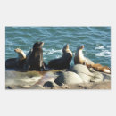 Search for sea lion stickers Wildlife