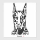 Search for doberman pinscher bumper stickers Breed
