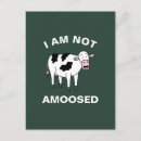 Search for funny cow puns postcards Animal