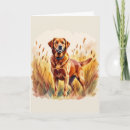 Search for yellow labrador birthday cards Pets