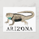 Search for arizona postcards Desert