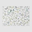 Search for leaf plant tissue paper Green