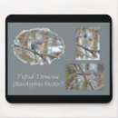 Search for bird mousepads Titmouse