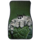 Search for spider interior car accessories Animal