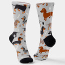 Search for dachshund socks Puppy