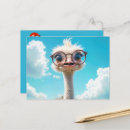 Search for ostrich jokes Glasses