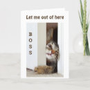 Search for for boss funny birthday cards Cat