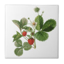 Search for strawberry tiles Botanical