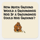 Search for groundhog stickers Woodchuck