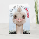 Search for bird pun cards Animal