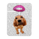 Search for angel magnets Animals