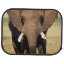 Search for elephant car floor mats Adam jones