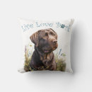 Search for chocolate lab pillows Pet