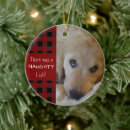 Search for funny sayings ornaments For pets