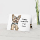Search for dog jokes cards For her