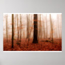 Search for fall scene posters Photography