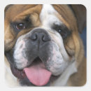 Search for english bulldog crafts party Dog breed