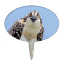 Search for beautiful bird cake toppers Birds