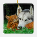 Search for funny friendship ornaments Cute