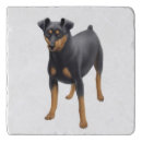 Search for miniature pinscher gifts Pets