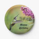 Search for bird paper plates Wildlife