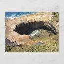 Search for oregon coast postcards Nature