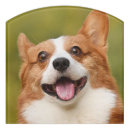 Search for dogs door signs Pet