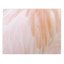 Search for flamingo notepads Colorful
