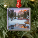 Search for estes park colorado ornaments Winter