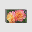 Search for orange bumper stickers Photograph