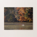 Search for fall foliage puzzles Reflections