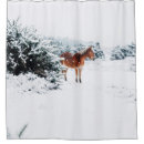 Search for fall shower curtains Retro