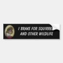 Search for i brake for squirrels bumper stickers Rodent