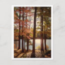 Search for fall postcards Foliage