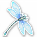 Search for dragonfly bumper stickers Dragonflies