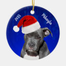 Search for pitbull ornaments Puppy